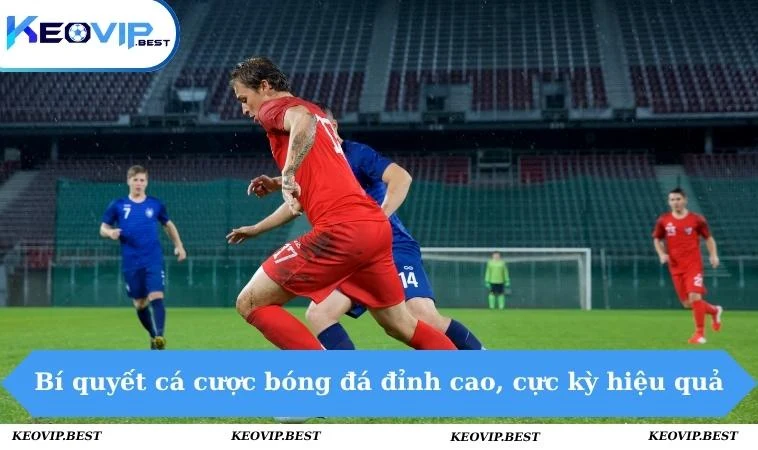 Bí Quyết Cá Cược Bóng Đá Từ Cao Thủ Giúp Xanh Vé Dài Hạn 2 Bí quyết cá cược bóng đá đỉnh cao, cực kỳ hiệu quả