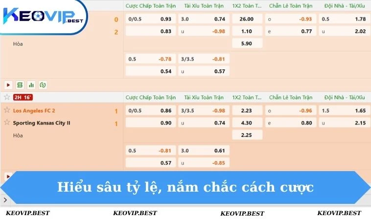 Hiểu sâu tỷ lệ, nắm chắc cách cược