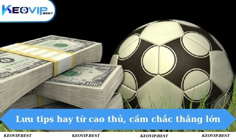 Lưu tips hay từ cao thủ, cầm chắc thắng lớn