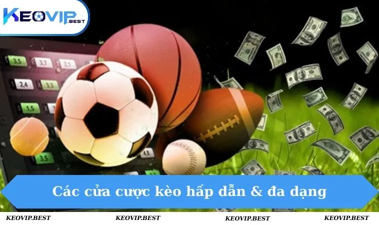Kèo 1 1/4 Là Gì - Bí Quyết Soi Kèo Hiệu Quả & Thắng Lớn 2 Các cửa cược kèo hấp dẫn & đa dạng