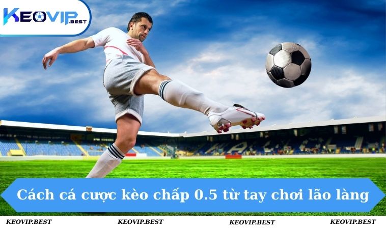 Chia sẻ cách đọc kèo 0.5 chuẩn từ chuyên gia