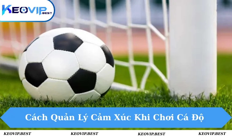 Cách quản lý cảm xúc khi chơi cá độ