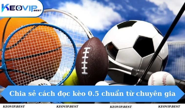 Chia sẻ cách đọc kèo 0.5 chuẩn từ chuyên gia