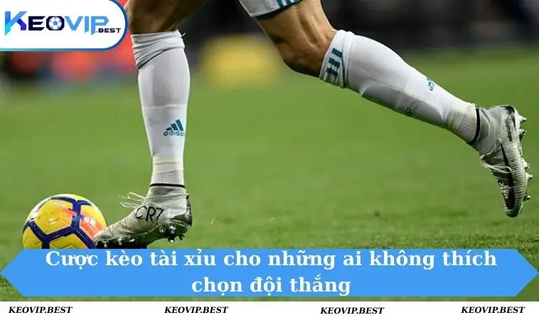 Cược kèo tài xỉu cho những ai không thích chọn đội thắng