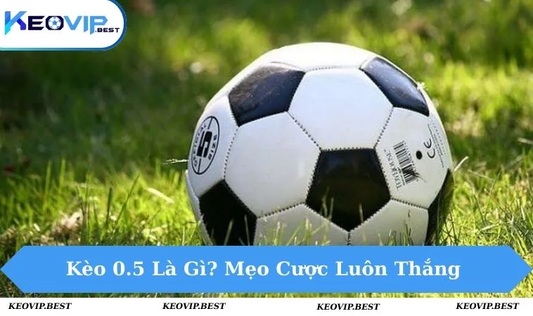 Kèo 0.5 Là Gì? Mẹo Đặt Cược Luôn Thắng Từ Cao Thủ 10 Kèo 0.5 là gì