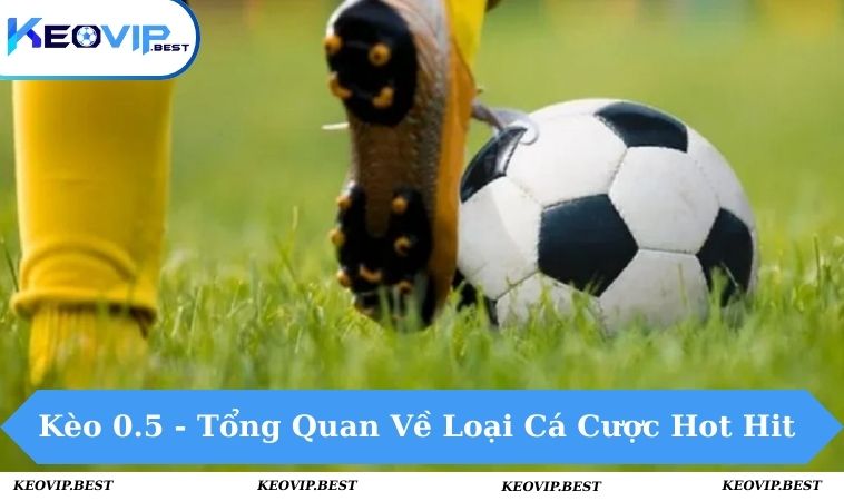 Kèo 0.5 - Tổng Quan Về Loại Cá Cược Hot Hit Tại KEOVIP 9 kèo 0.5