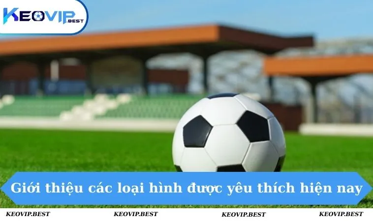 Giới thiệu các loại hình được yêu thích hiện nay