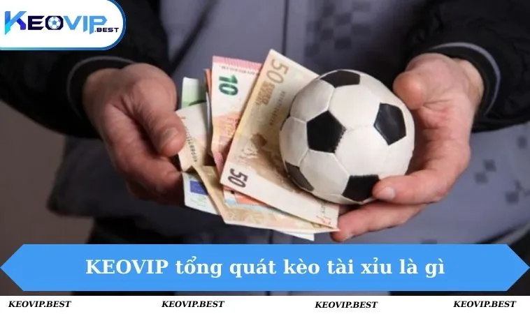 Kèo Tài Xỉu Là Gì - Cập Nhật Về Hình Thức Cược Mới Nhất 2025 1 KEOVIP tổng quát kèo tài xỉu là gì