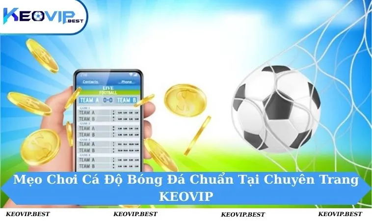 Mẹo chơi cá độ bóng đá