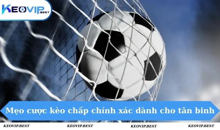 Mẹo cược kèo chấp chính xác dành cho tân binh