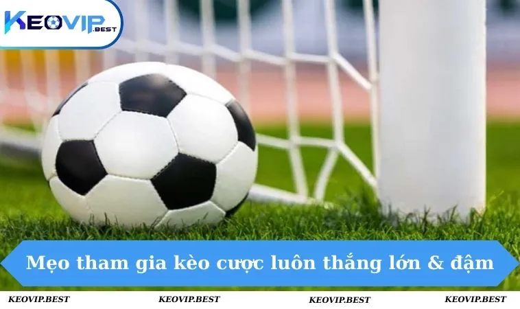 Kèo 0-0.5 Là Gì? Hướng Dẫn Đặt Cược Cùng Chuyên Gia Dễ Thắng 2 Mẹo tham gia kèo cược luôn thắng lớn & đậm