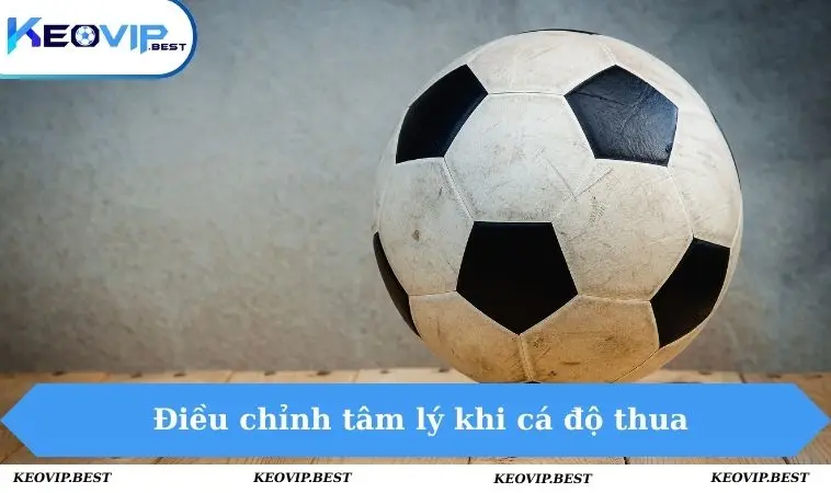 Nên Làm Gì Khi Cá Độ Thua? Cách Xử Lý Thông Minh Cho Bạn 2 Nên làm gì khi cá độ thua bằng cách điều chỉnh tâm lý