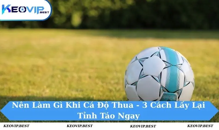 Nên làm gì khi cá độ thua