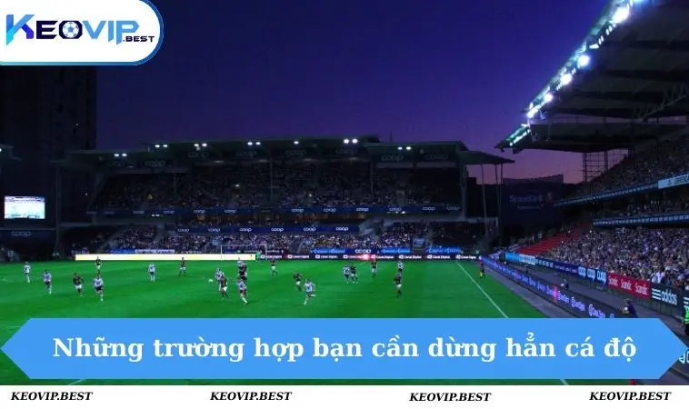 Nên Làm Gì Khi Cá Độ Thua? Cách Xử Lý Thông Minh Cho Bạn 3 Những trường hợp bạn cần dừng hẳn cá độ
