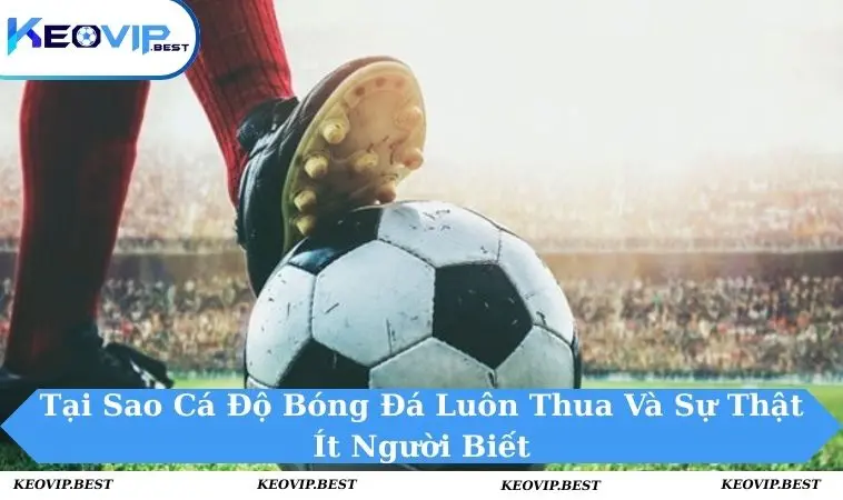 Tại sao cá độ bóng đá luôn thua