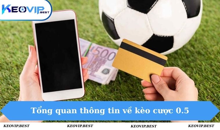 Tổng quan thông tin về kèo cược 0.5