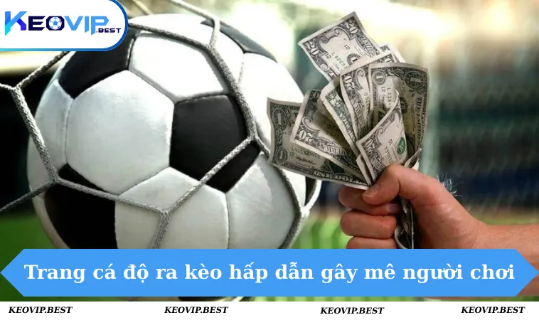 Trang cá độ ra kèo hấp dẫn gây mê người chơi