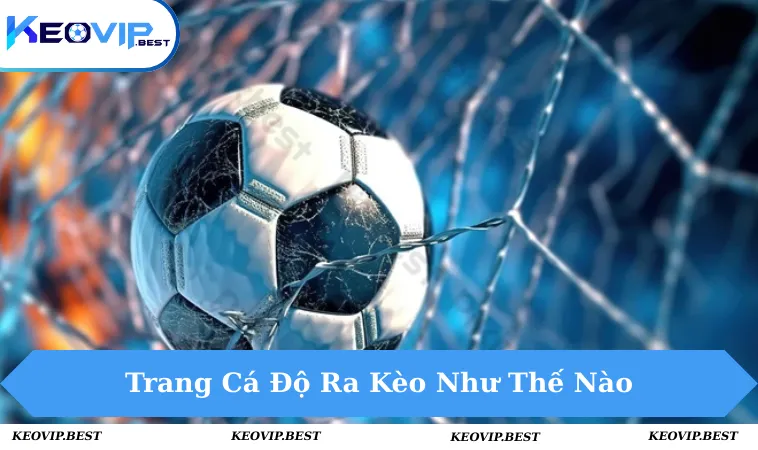 Trang cá độ ra kèo như thế nào